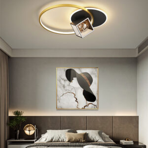 Ceiling Lighting-DNZM8488-R