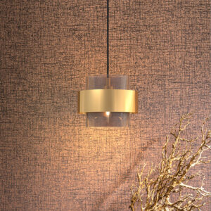 Small Modern Chandeliers-HL8019
